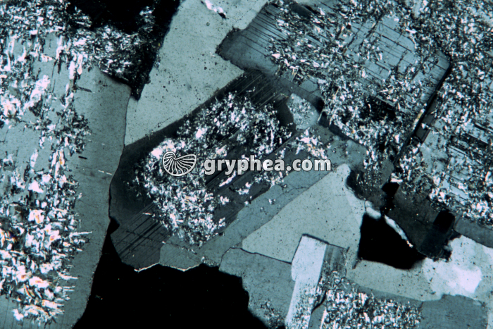 Feldspaths altérés LPA x10 - gryphea.com